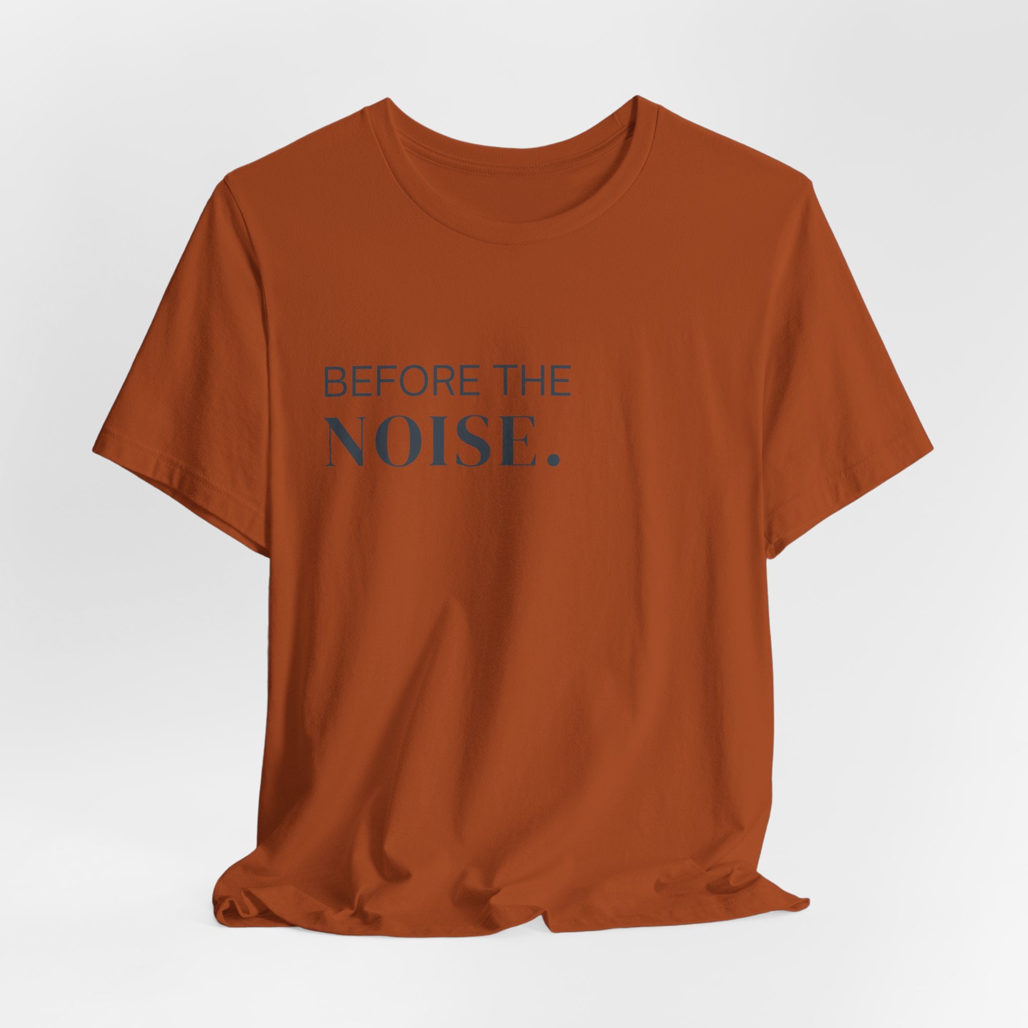 Before The Noise // Insignia